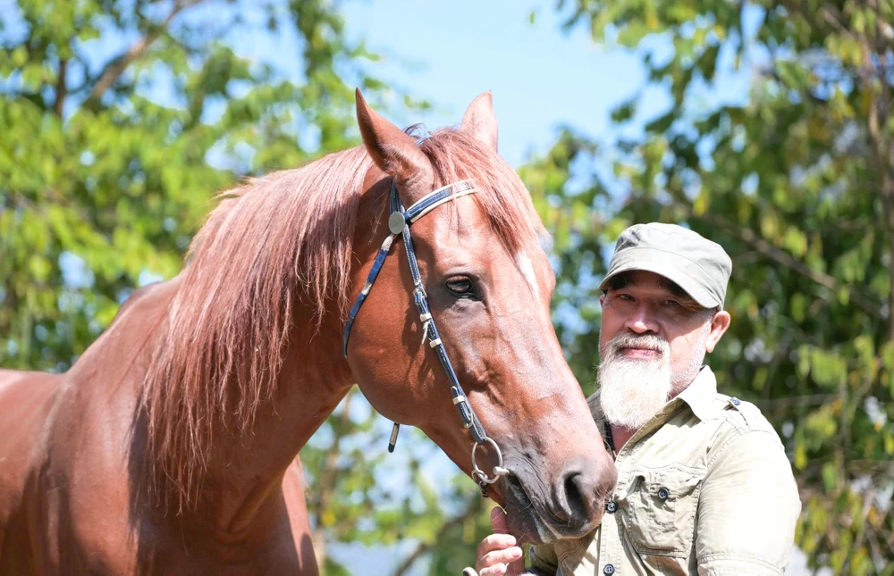 Ngựa Đức Hòa.jpg