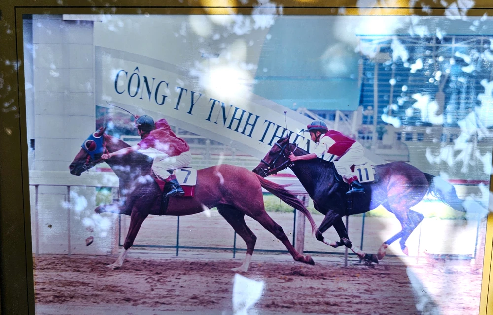 Ngựa Đức Hòa 7.jpg