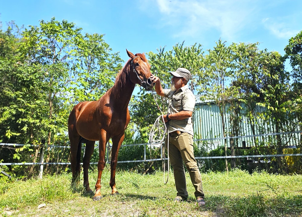 Ngựa Đức Hòa 9.jpg