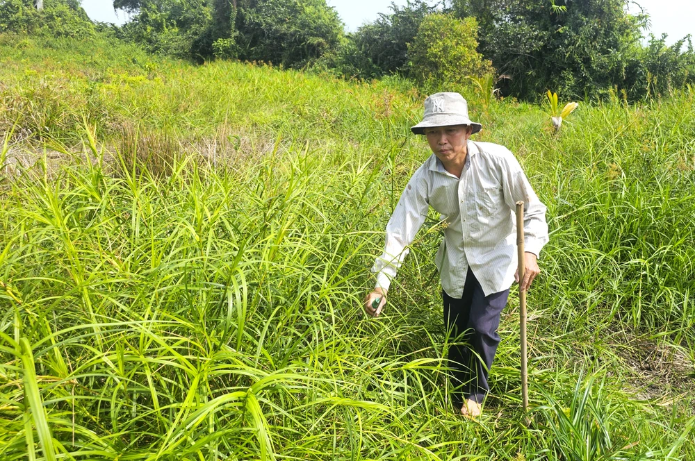 CAO TOC TPHCM - TRUNG LUONG 2.jpg