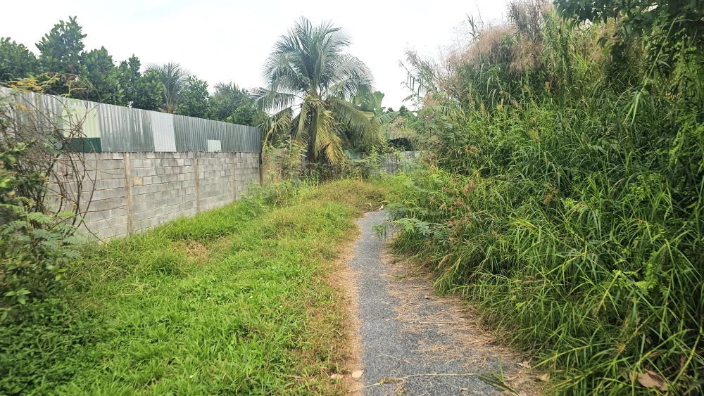 CAO TOC TPHCM - TRUNG LUONG 4.jpg