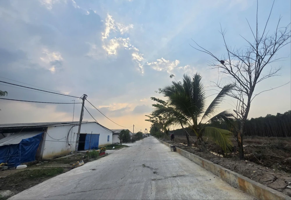 Công ty điện mặt trời.jpg