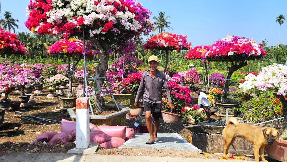 làng hoa giấy 12.jpg