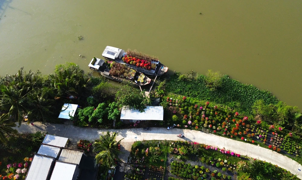 làng hoa giấy 4.JPG