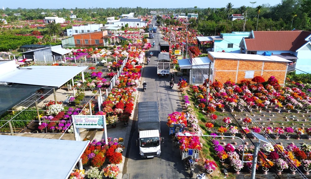 làng hoa giấy 5.JPG