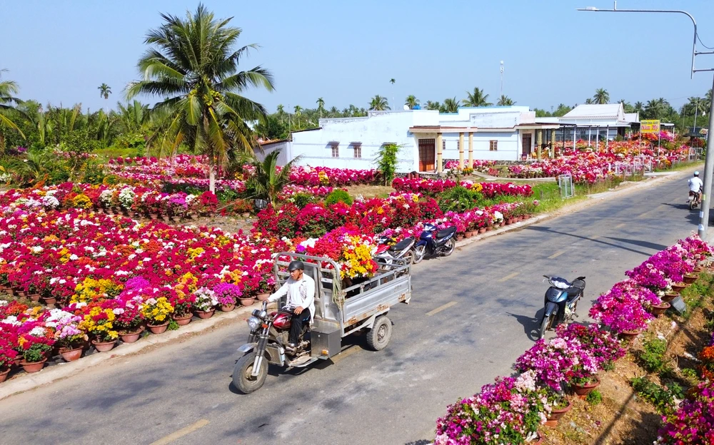 làng hoa giấy 8.JPG