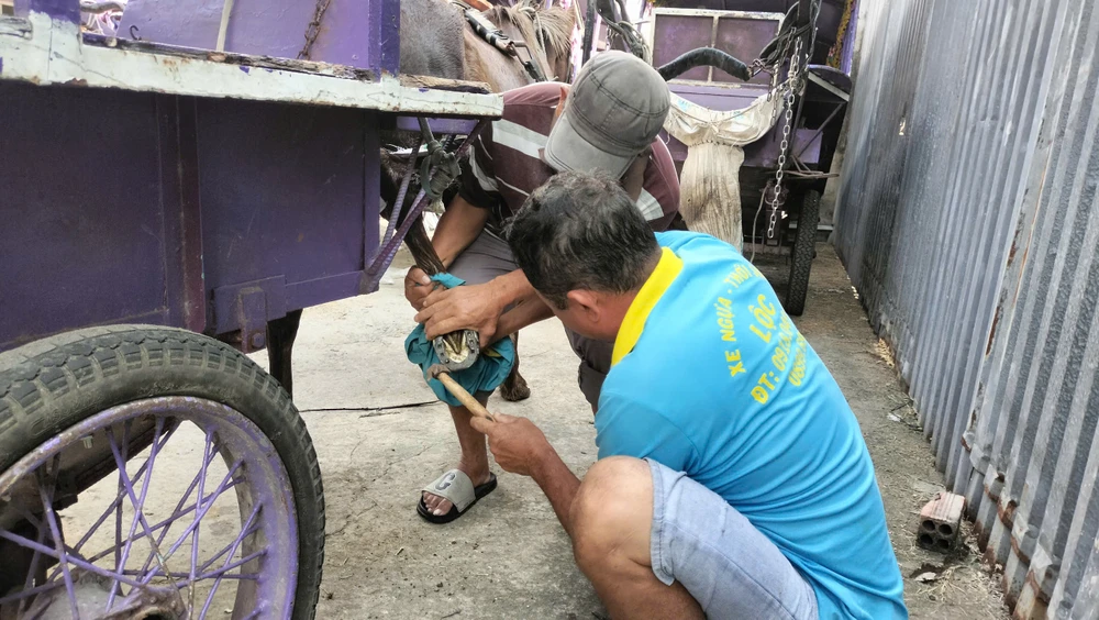 cồn Thới Sơn 7.jpg