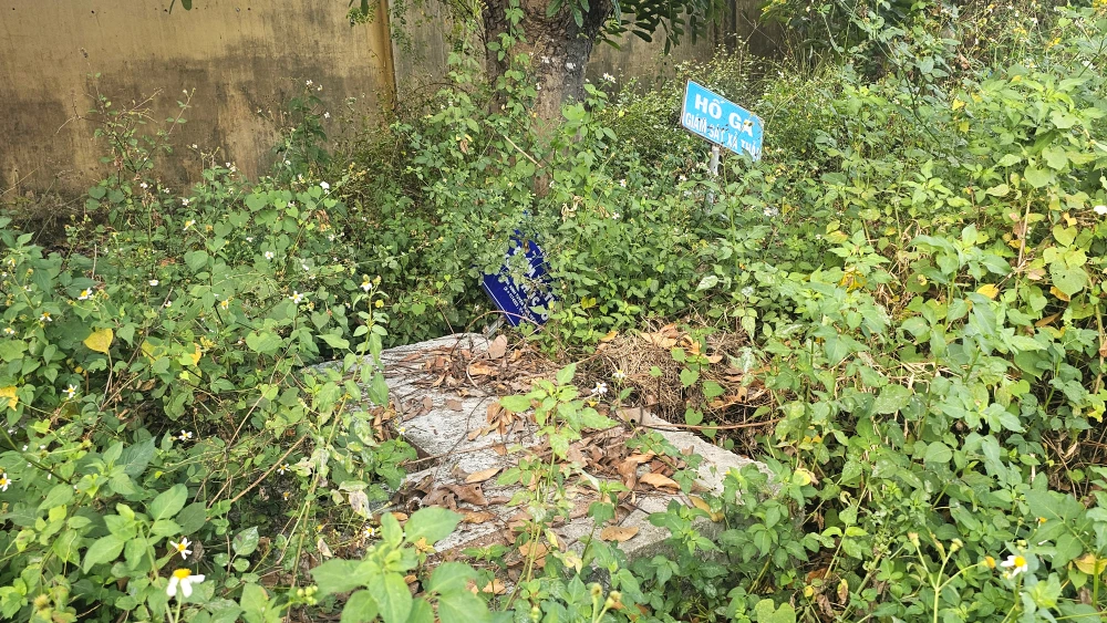 nước thải 1.jpg