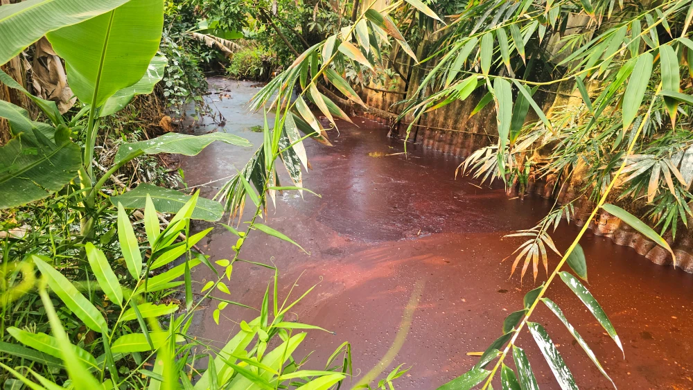 nước thải 5.jpg