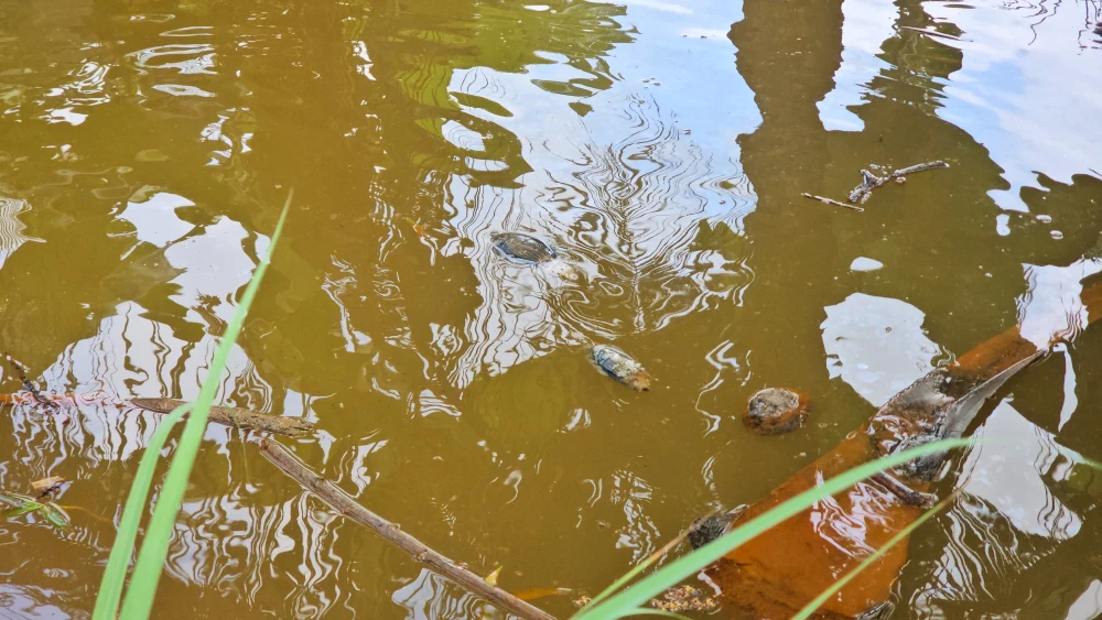 nước thải 6.jpg