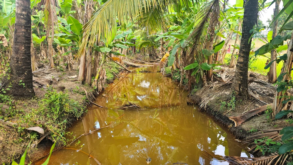 nước thải 7.jpg