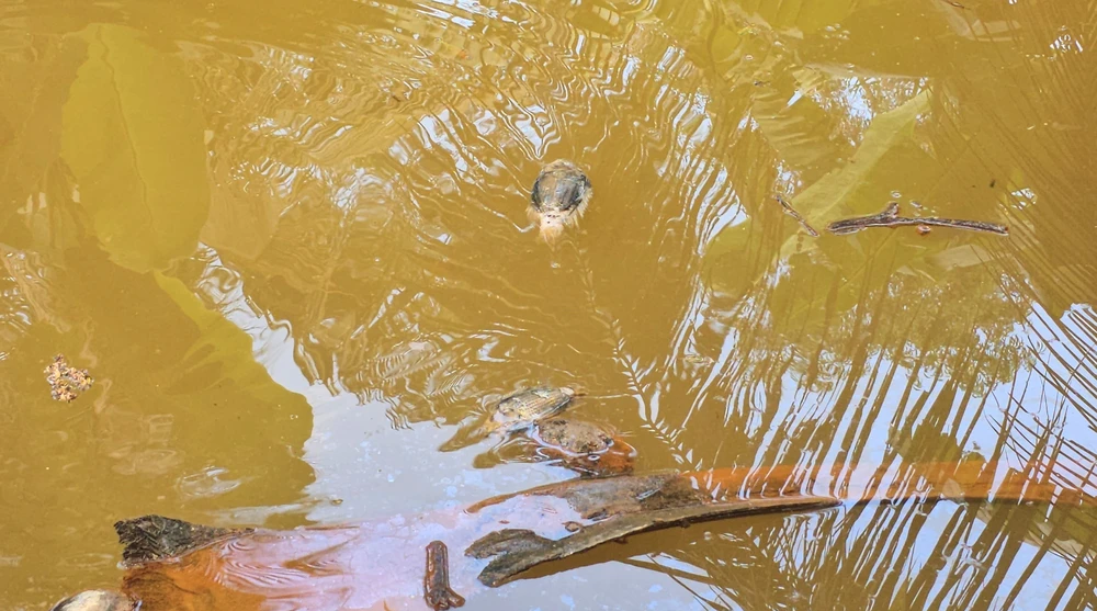 nước thải 8.jpg