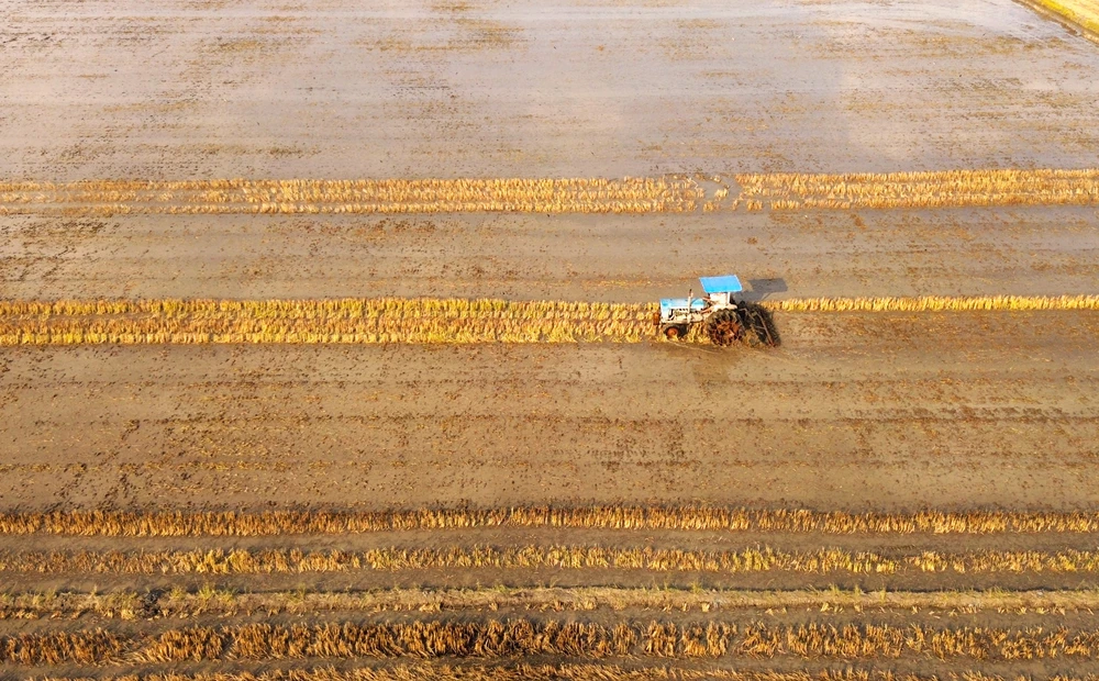 nông dân Tây Ninh 6.JPG