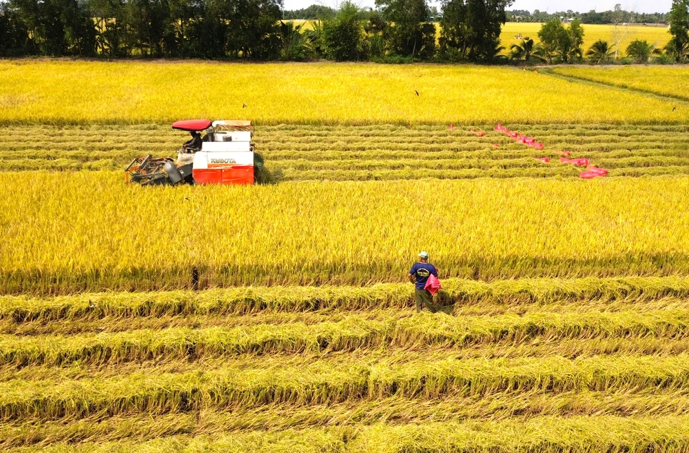 nông dân Tây Ninh.JPG