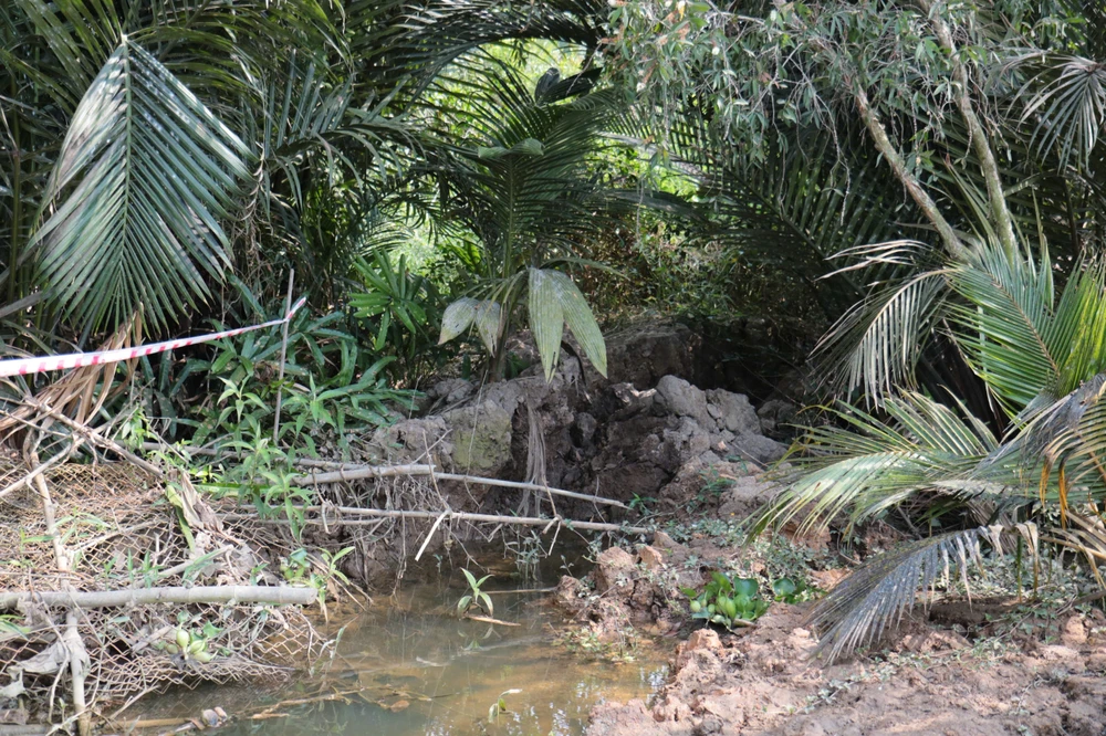 sông Vảm Cỏ Tây (3).jpg