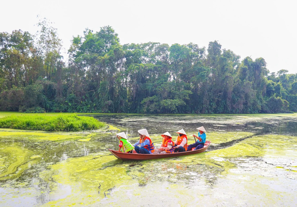 Vùng đất phèn Tân Phước 16.jpg