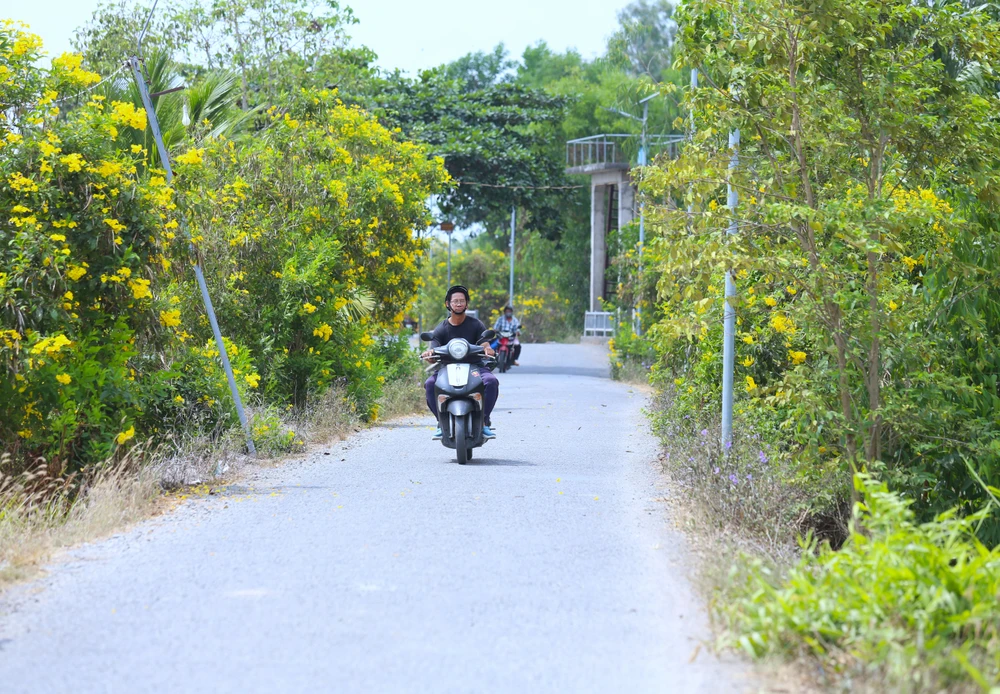 Vùng đất phèn Tân Phước 23.JPG