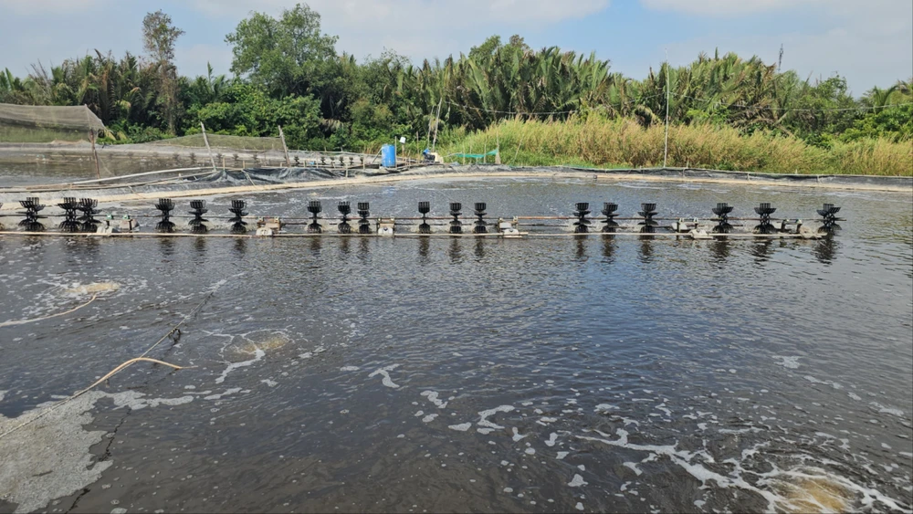 Điện giật.jpg