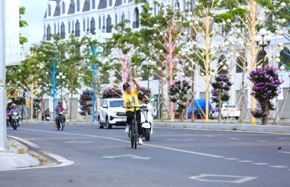 hoa bằng lăng 33.JPG