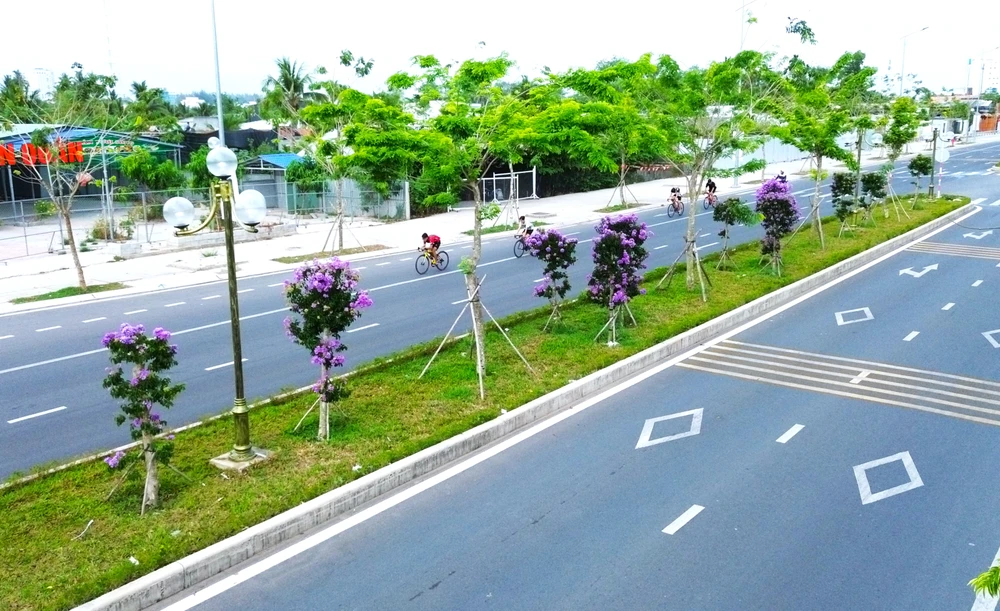 hoa bằng lăng 7.JPG