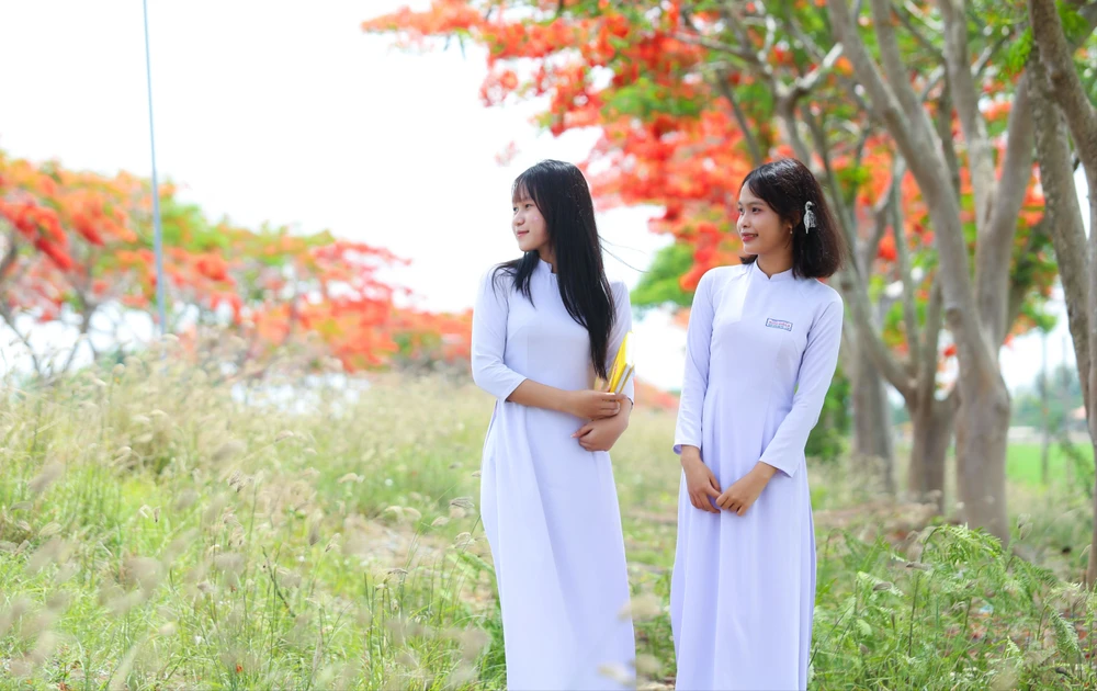 hoa phượng 13.jpg