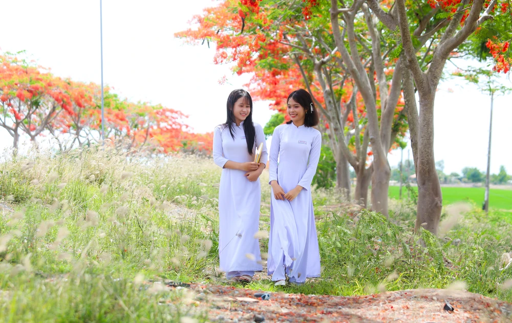 hoa phượng 14.jpg