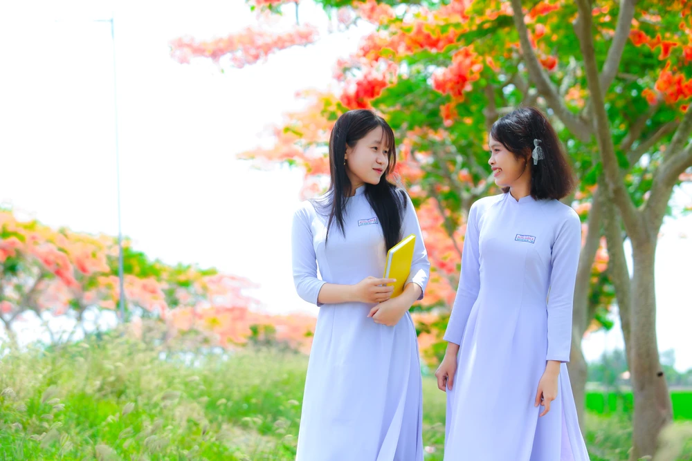 hoa phượng 15.jpg