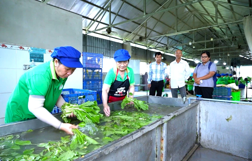 TAY NINH 6.jpg