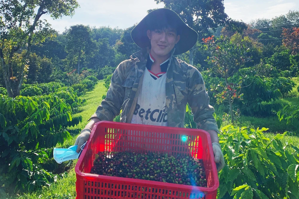 Ngoài những đặc sản đã vốn có như cà phê, hồ tiêu, Đăk Nông đang đẩy mạnh loại hình du lịch miệt vườn ẢNH : HOÀNG HIẾU