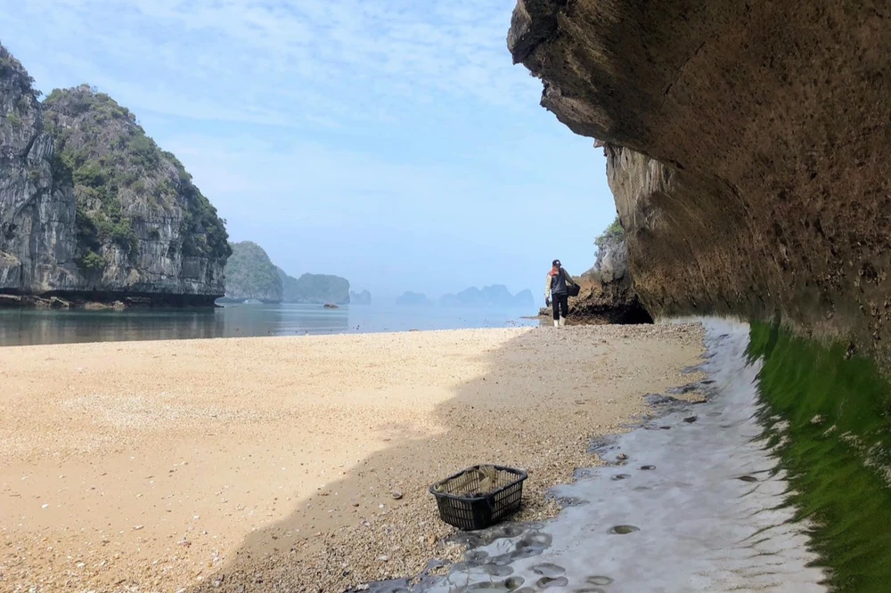 Những mỏm đá với cấu trúc độc đáo Ảnh : QUANG TRẦN