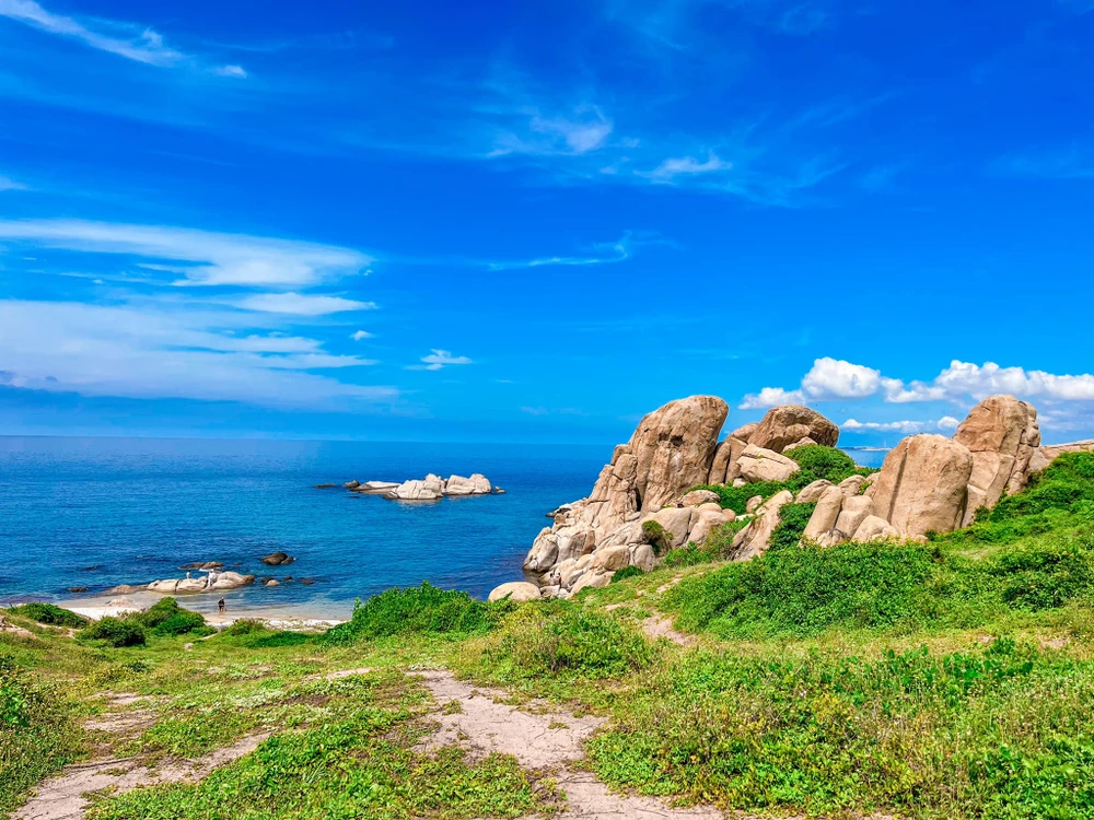 Du khách có thể chọn những khu đất trống để cắm trại và ngắm sao về đêm. Ảnh: ĐINH THUỲ