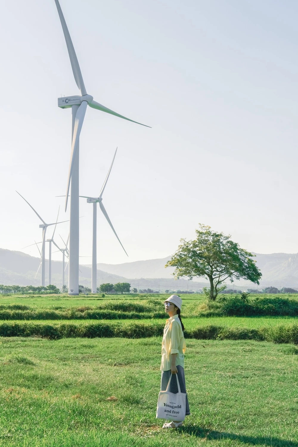 Thả hồn vào cùng tiếng gió ở Đầm Nại. Ảnh: Minh Huệ.