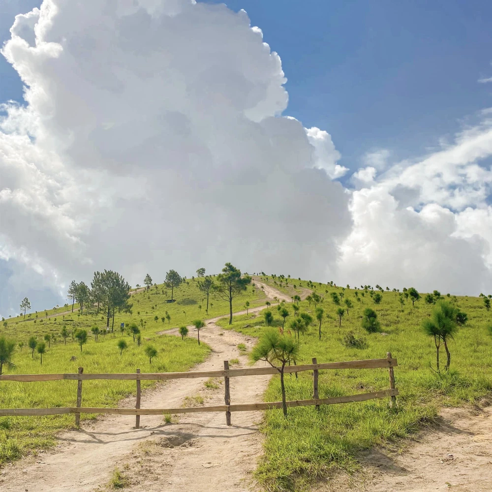 Khung cảnh hoang sơ tại đỉnh Phượng Hoàng. Ảnh : THU HUYỀN