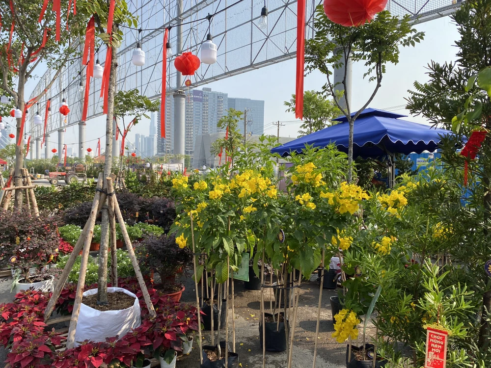 Cho-hoa-Tet9.jpg