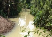 Đề xuất phạt 2 công ty xả nước thải có mùi thuốc trừ sâu