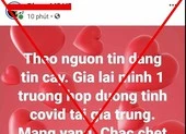Đăng tin sai sự thật về COVID-19, 1 người ở Gia Lai bị phạt