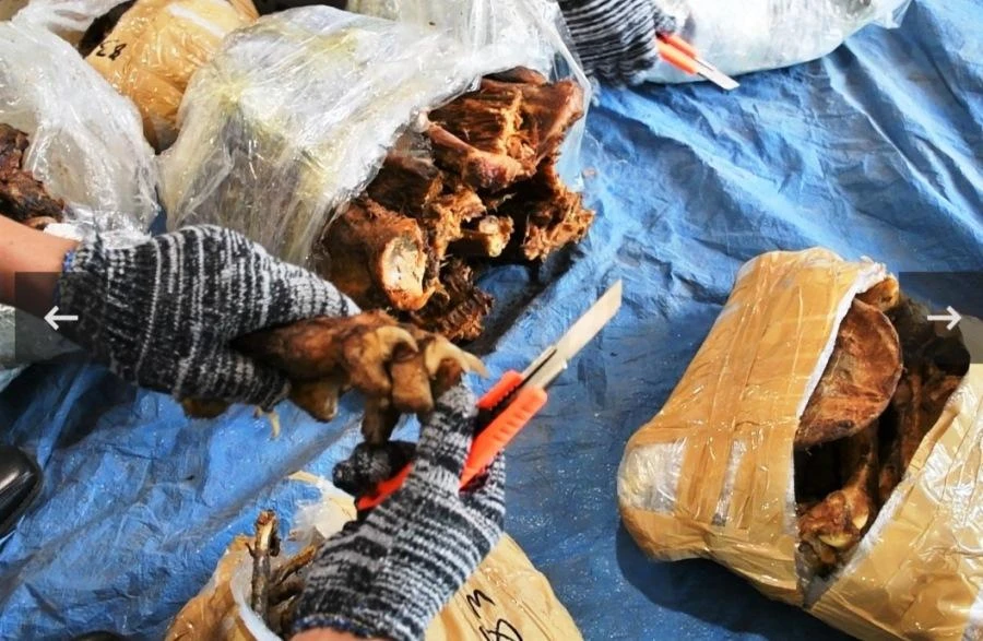 Xương sư tử được phát hiện trong vụ buôn lậu. Ảnh: H.H