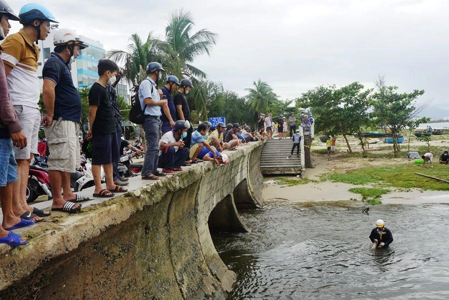 Người dân hiếu kỳ xem bắt cá và mua cá sau đó. Ảnh: HẢI HIẾU