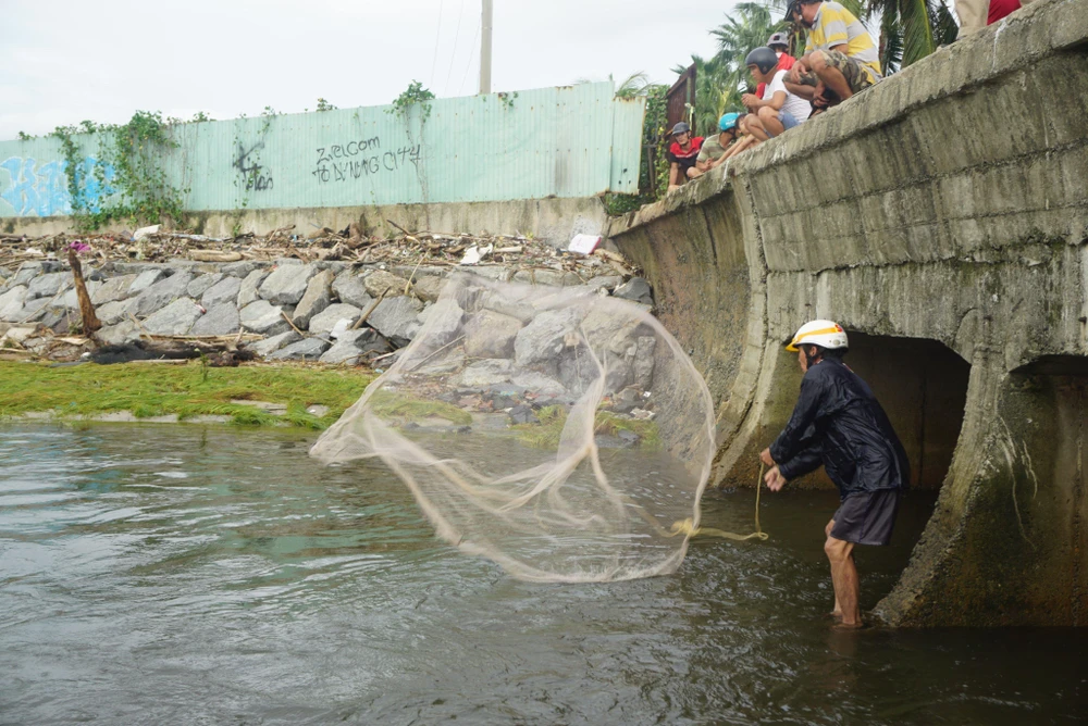 Người đàn ông quăng chài để bắt cá ngay nơi cống nước đổ ra biển. Ảnh: HẢI HIẾU
