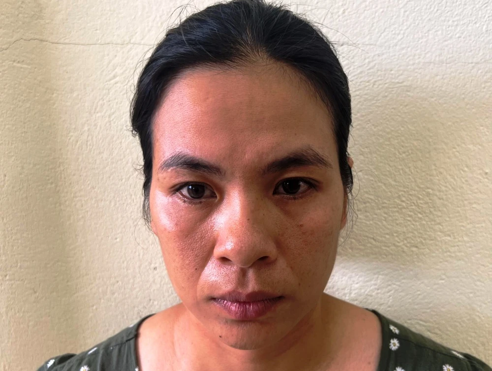 Nghi phạm Mai Lệ Huyền. Ảnh: H.H