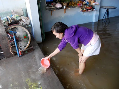 Xây 8 bờ bao chống ngập ở Hóc Môn ảnh 1