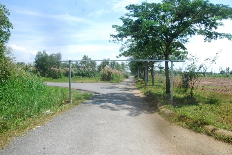 Khu đô thị lớn nhất quận 9 làm nơi chăn bò ảnh 3