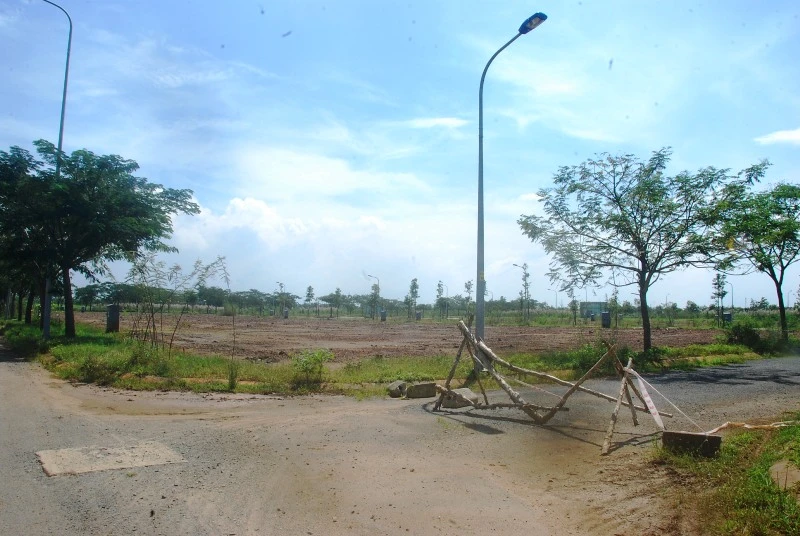 Khu đô thị lớn nhất quận 9 làm nơi chăn bò ảnh 4