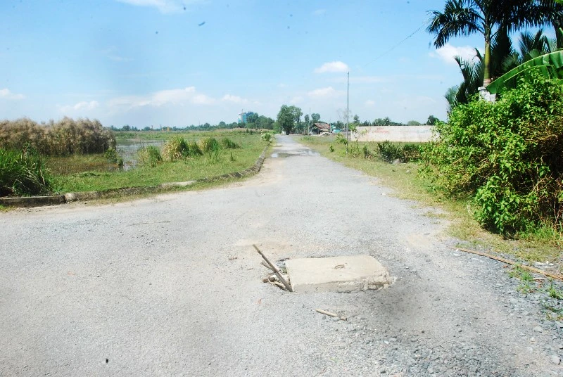 Khu đô thị lớn nhất quận 9 làm nơi chăn bò ảnh 5