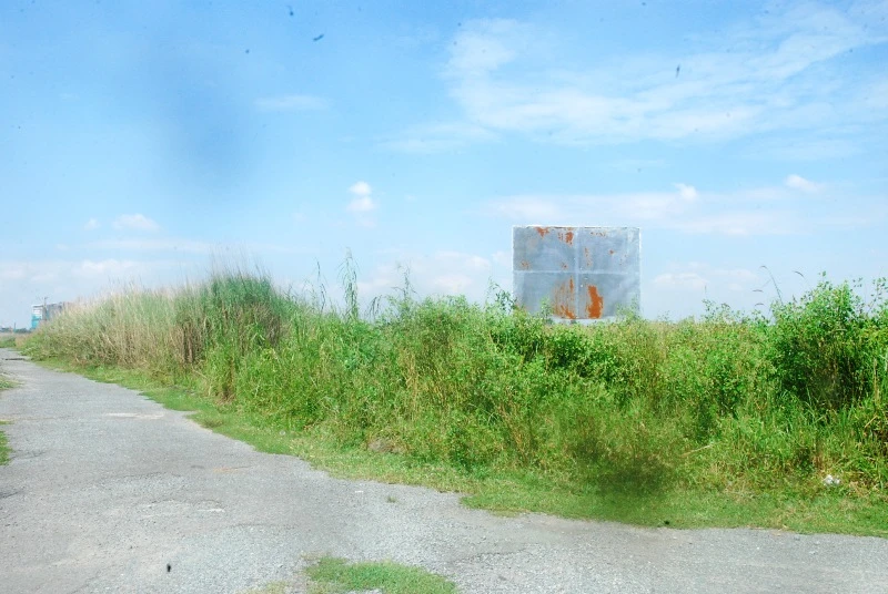 Khu đô thị lớn nhất quận 9 làm nơi chăn bò ảnh 6