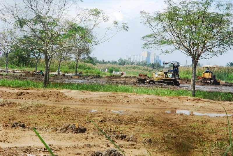 Khu đô thị lớn nhất quận 9 làm nơi chăn bò ảnh 8