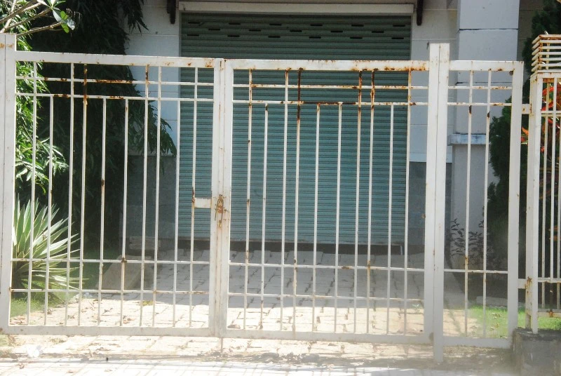 Khu đô thị lớn nhất quận 9 làm nơi chăn bò ảnh 10