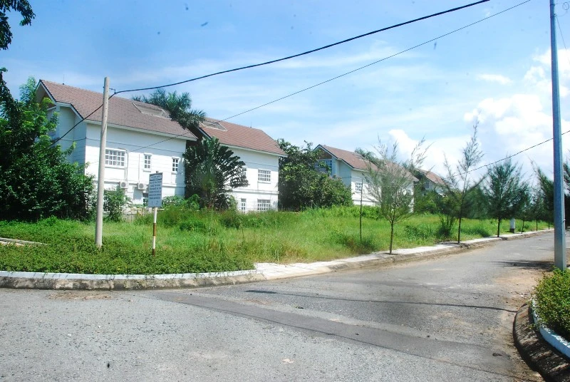 Khu đô thị lớn nhất quận 9 làm nơi chăn bò ảnh 11