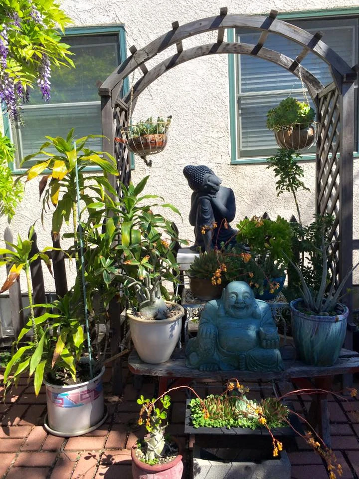 Nhà của danh hài Thúy Nga: Nhìn mà... thèm! ảnh 11