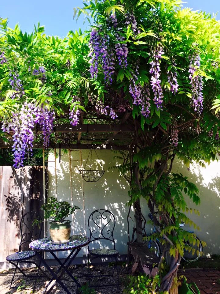 Nhà của danh hài Thúy Nga: Nhìn mà... thèm! ảnh 17